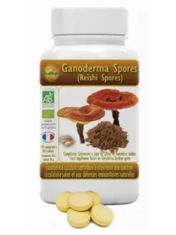 Complejo Ganoderma Rojo (con esporas) Astraphytos 60 comprimidos