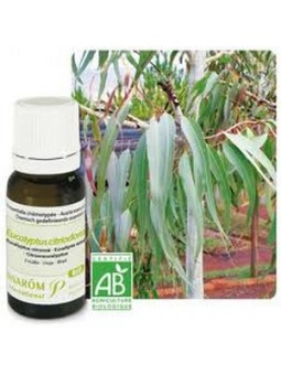 Eucalyptus citronné bio Huile essentielle 10ml - Aromathérapie Pranarom