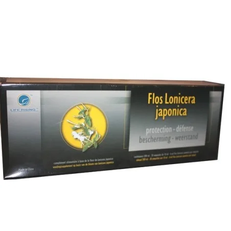 FLOS LONICERA JAPONICA ampoules - LIFE RISING