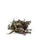 Thé oolong & vert parfumé sureau framboise Le pouvoir des fleurs - Les jardins de gaïa