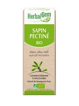 Sapin pectiné bio bourgeon - Capital osseux Gemmothérapie Herbalgem
